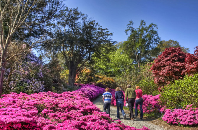 The Top 5 Visitor Attractions of Ireland’s Oldest City, Waterford