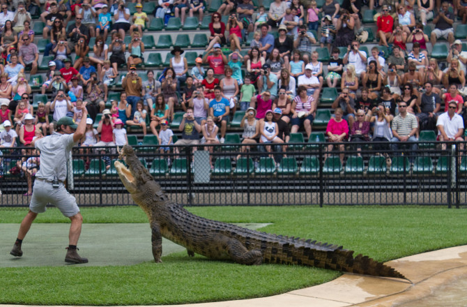 The Top Reasons Queensland Is The Best State In Aus