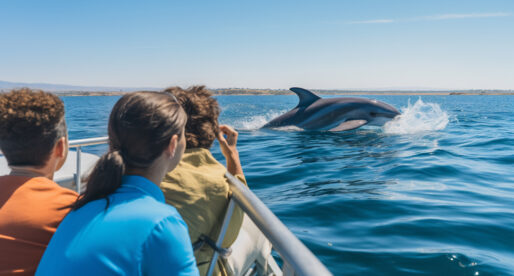 A Tourist-Friendly Guide to Afternoon Catamaran Snorkeling Tours in O’ahu