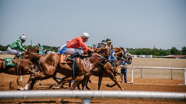 Perfect Travel Destinations For Horse Racing Enthusiasts 